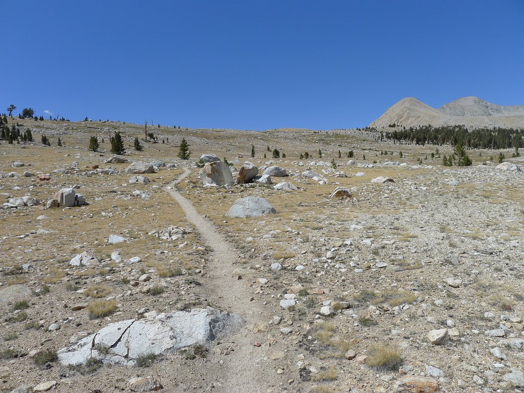 SouthernSierra 516